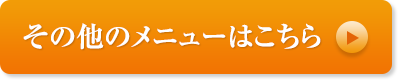 その他メニュー表はこちら